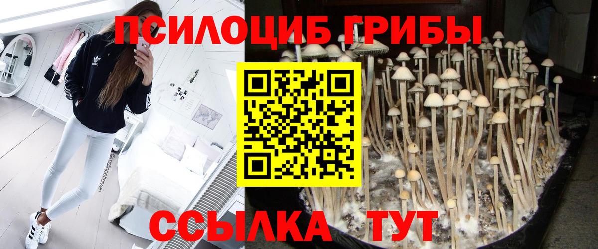Псилоцибиновые грибы GOLDEN TEACHER  Вход с VPN  Кашира 